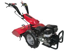 DUNSCH 420MF FREES SETPRIJS | 11.5 PK DUNSCH BENZINEMOTOR